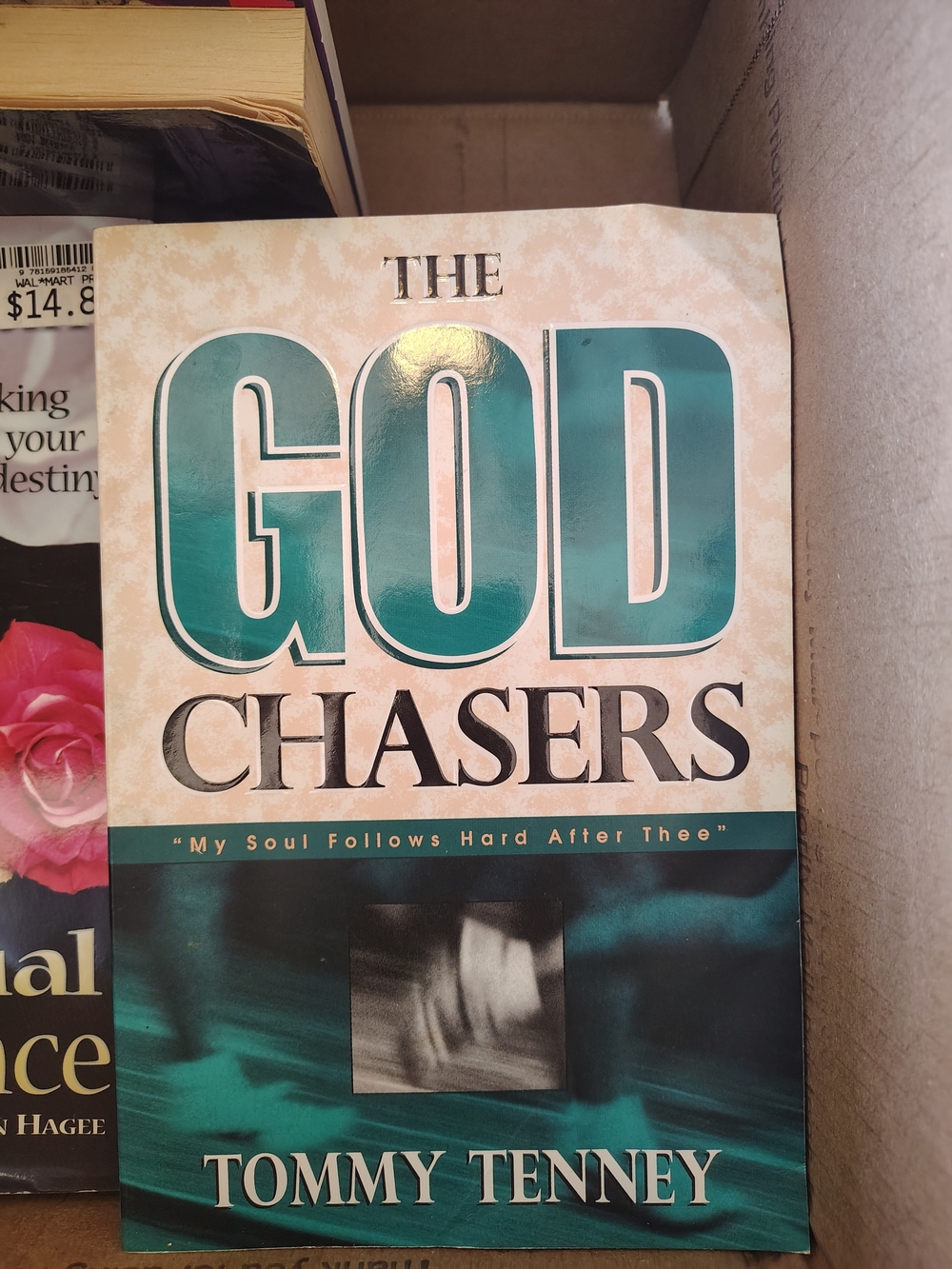 The God Chasers Book - Teal and Cream Cover